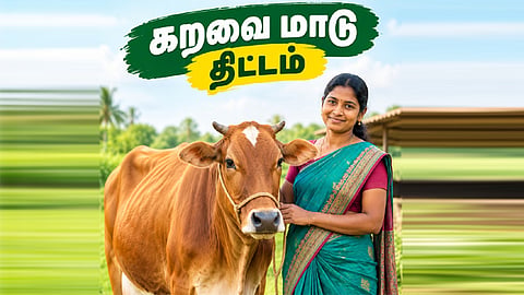 விலையில்லா கறவை மாடுகள் திட்டத்துக்கு ரூ.57 கோடி ஒதுக்கீடு - அரசாணை வெளியீடு
