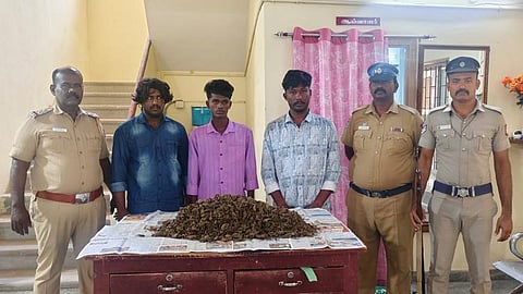 தூத்துக்குடியில் கஞ்சா விற்ற 3 பேர் கைது: 5.7 கிலோ பறிமுதல்.