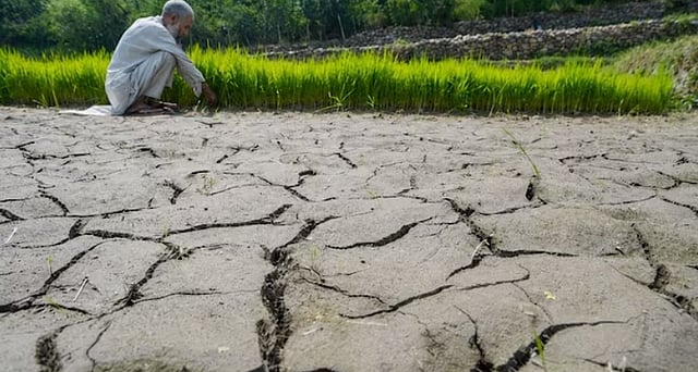 வறட்சி பாதித்த மாவட்டங்களில் விவசாயிகளுக்கு தலா ரூ.5 ஆயிரம் வழங்க ஒப்புதல்