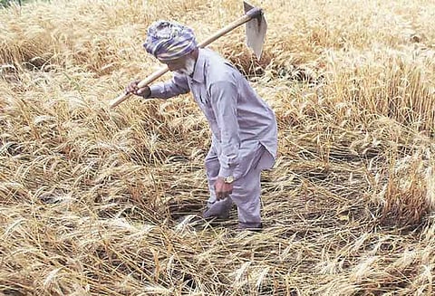 உத்தரபிரதேசத்தில் விவசாய கடன் தள்ளுபடி திட்டத்தில் 9 லட்சம் புகார்கள்