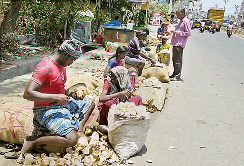 தர்மபுரியில் கொளுத்தும் கோடை வெயில்: சாலையோரங்களில் நுங்கு விற்பனை விறுவிறுப்பு