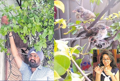 சிட்டுக்குருவி மனிதர்