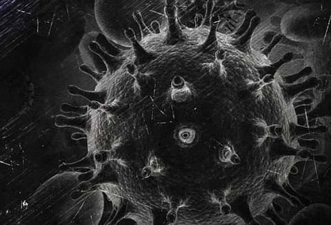 எச்.ஐ.வி கிருமிக்கு விரைவில் தடுப்பூசி கண்டுபிடிக்கப்படும் இறுதிகட்டத்தில் விஞ்ஞானிகள்