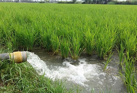 விவசாயிகள் வீண் செலவை தடுக்க நிலத்தின் மண்வளத்துக்கு ஏற்ப உரம்; நவீன கருவியில் புதிய வசதி