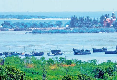 ராமேசுவரம் உள்ளிட்ட தென் தமிழகத்தின் கடலோரப்பகுதிகளில் கடல் அலைகள் இன்றும், நாளையும் 11½ அடி வரை எழுந்து ஆர்ப்பரிக்கும்