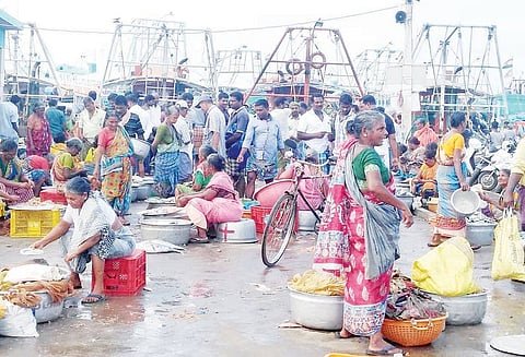 கடல் சீற்றம் தணிந்ததையொட்டி 4 நாட்களுக்கு பிறகு மீனவர்கள் கடலுக்கு சென்றனர்