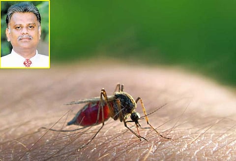 மலேரியாவை அறவே ஒழிப்போம்!