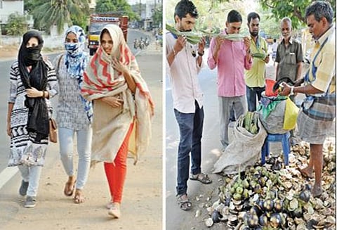 திருப்பூரில் 102 டிகிரி வெயில் கொளுத்தியது