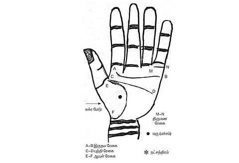 கைரேகை அற்புதங்கள் : காதல் திருமணம் யாருக்கு?