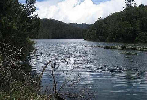 கொடைக்கானலில் உள்ள பேரிஜம் ஏரிக்கு செல்ல சுற்றுலா பயணிகளுக்கு தடை