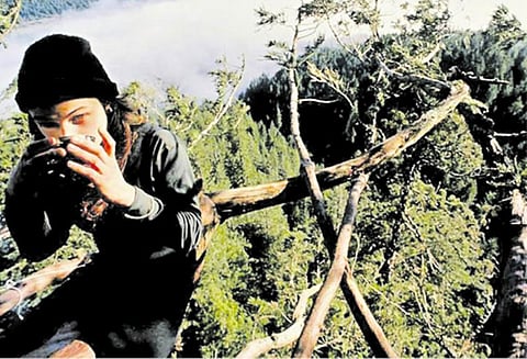 பிடிவாதம்