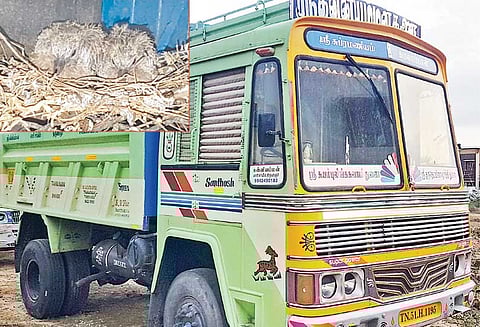 புறாவுக்காக லாரியை இயக்காத உரிமையாளர் ‘வருவாயை இழந்தாலும் குஞ்சுகள் சிறகடித்து பறக்கும் வரை காத்திருப்பேன்’