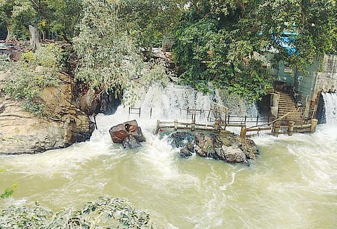 ஒகேனக்கல்லில் குவிந்த சுற்றுலா பயணிகள் 28-வது நாளாக குளிக்க தடையால் ஏமாற்றம்