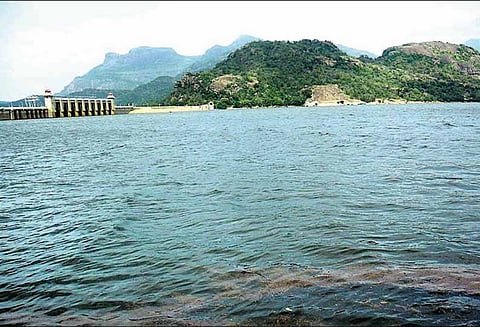 அமராவதி அணையின் நீர்மட்டம் 87 அடியாக உயர்வு விவசாயிகள் மகிழ்ச்சி