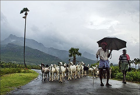 நெல்லை, கோவை உள்பட 5 மாவட்டங்களில் இன்று கனமழை பெய்யும் வானிலை மையம் அறிவிப்பு