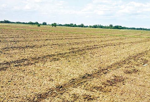 கோட்டூர் அருகே குளங்கள் நிரம்பாததால் சாகுபடி பணிகள் பாதிப்பு - விவசாயிகள் கவலை