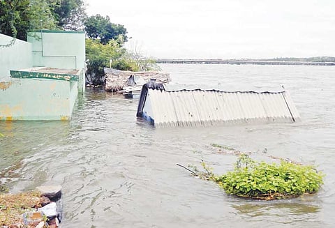 காவிரியில் வெள்ளப்பெருக்கு: தண்ணீர் சூழ்ந்த குடியிருப்புகளை கலெக்டர் பார்வையிட்டார்