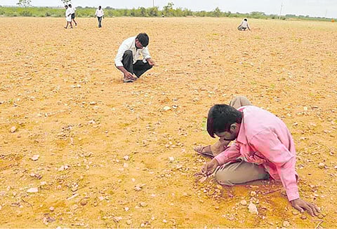 விளைநிலங்களில் வைரங்களைத் தேடும் விவசாயிகள்!