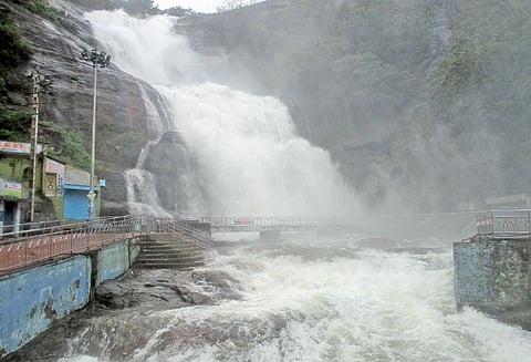 தொடர்ந்து வெள்ளப்பெருக்கு: குற்றாலம் அருவிகளில் குளிக்க 5–வது நாளாக தடை நம்பியாறு அணை நிரம்பியது