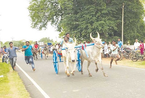 திருமயம் அருகே கோவில் திருவிழாவையொட்டி மாட்டுவண்டி பந்தயம்