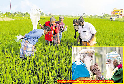 நீங்களும் ஆகலாம் இயற்கை விவசாயி : நம்மாழ்வார் வழியில் வீறு நடைபோடும் ‘ஈஷா விவசாய இயக்கம்'