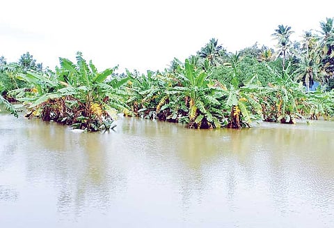 வீடுகளில் புகுந்த வெள்ளம் வடியவில்லை: 5–வது நாளாக வைக்கல்லூர், மரப்பாலம் பகுதி மக்கள் பரிதவிப்பு