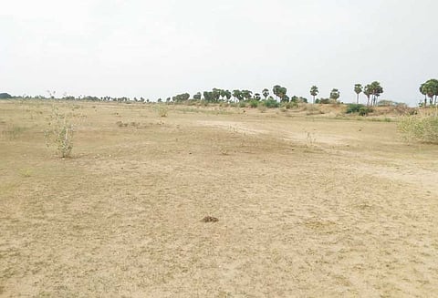 தஞ்சை மாவட்டத்தில் 2 ஆயிரத்துக்கும் மேற்பட்ட நீர்நிலைகள் வறண்டு கிடக்கும் அவலம்