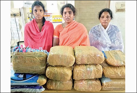 கோயம்பேடு பஸ் நிலையத்தில் 50 கிலோ கஞ்சாவை கடத்த முயன்ற 3 பெண்கள் கைது