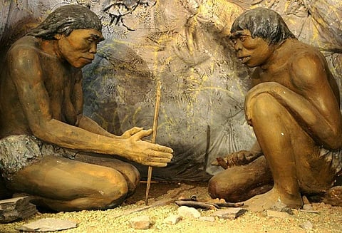 நியாண்டர்தல் மனித இனம் அழிவுக்கு குளிர் காலநிலையை கையாள தெரியாததே காரணம்; ஆய்வில் தகவல்