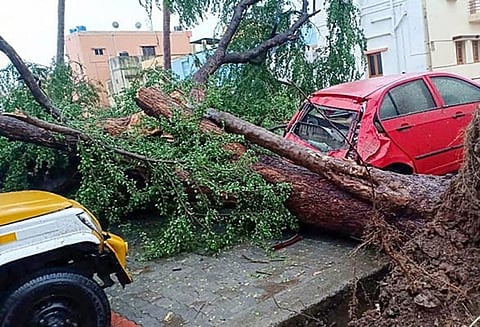 கஜா புயல்; 2வது கட்ட நிவாரண நிதியாக மத்திய அரசு ரூ.353.70 கோடி ஒதுக்கீடு