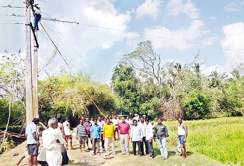 கஜா புயலால் மின்கம்பங்கள் சாய்ந்தன: வடபாதிமங்கலம் பகுதியில் 16 நாட்களுக்கு பிறகு மின்வினியோகம்