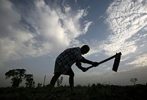 கிலோ 20 காசுக்கு விற்பதால் விரக்தி: 2 ஏக்கர் கத்தரி தோட்டத்தை அழித்த விவசாயி