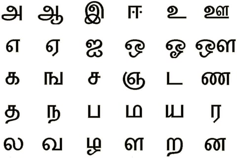 தமிழ் வளர்ச்சியும் அதற்கான முயற்சியும்...!
