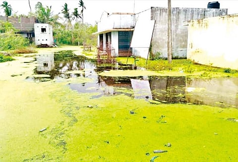 திருமருகலில் குடியிருப்பு பகுதிகளில் தேங்கி கிடக்கும் மழைநீரால் தொற்றுநோய் பரவும் அபாயம்