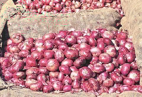 கிலோ 51 பைசா : வெங்காயம் விற்ற பணத்தை முதல்வருக்கு அனுப்பிய விவசாயி!