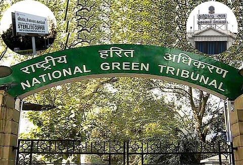 ஸ்டெர்லைட் ஆலை விவகாரம்: நிபுணர் குழு அறிக்கையை ஏற்க முடியாது - தேசிய பசுமை தீர்ப்பாயத்தில் தமிழக அரசு வாதம்