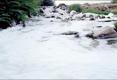 நொய்யல் ஆற்றில் நுரையுடன் சாயக்கழிவுநீர் தடுக்க சமூக ஆர்வலர்கள் கோரிக்கை