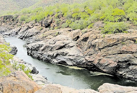 காவிரியை தடுக்குமா மேகதாது?