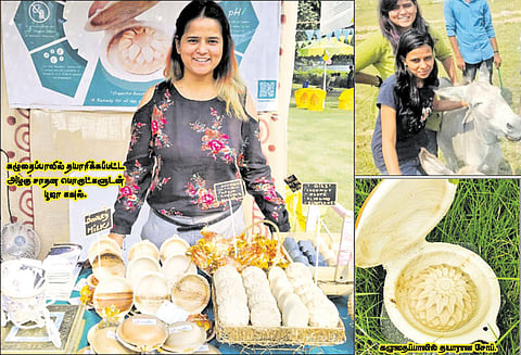 அழகுக்காக கழுதைப்பால் சேகரிக்கும் பெண்