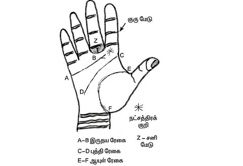 கைரேகை அற்புதங்கள் : நன் மக்கட்பேறு யாருக்கு?