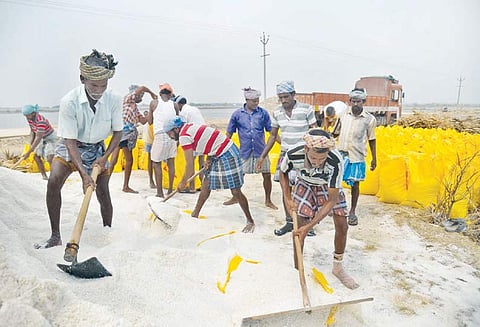 கஜா புயலுக்கு முன்பு சேகரித்து வைக்கப்பட்டு இருந்த உப்பு, வெளி மாநிலங்களுக்கு ஏற்றுமதி