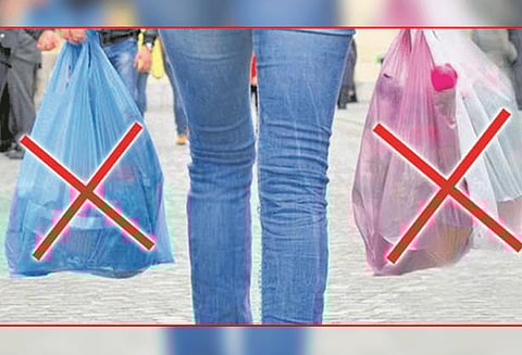 சென்னையில் 13-ந் தேதி ஆர்ப்பாட்டம்: ‘பிளாஸ்டிக்’ தடையை நீக்க கோரி வழக்கு உற்பத்தியாளர்கள் சங்கம் அறிவிப்பு