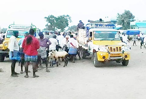 விற்பனைக்கு தடை எதிரொலி: சமயபுரம் ஆட்டுச்சந்தையில் அதிகாரிகள்-வியாபாரிகள் வாக்குவாதம்