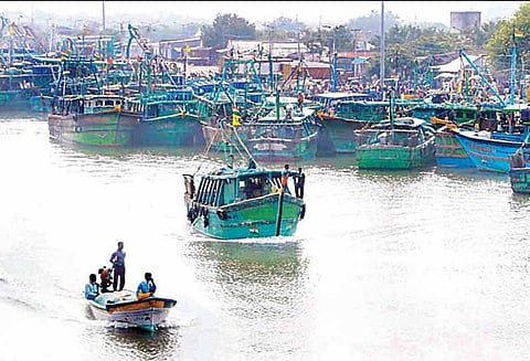 6 நாட்களுக்கு பிறகு மீன்பிடிக்க சென்ற மீனவர்கள் - கடலூர் துறைமுகம் களைகட்டியது