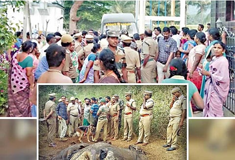 மின்சாரம் பாய்ந்து இறந்த யானையின் தந்தங்களை வெட்டி கடத்தியது எப்படி? கைதான 2 பேர் வனத்துறையினரிடம் நடித்து காட்டினர்