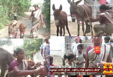 நோய்களை குணப்படுத்துமா கழுதைப் பால்? கூவி, கூவி விற்கும் பெண்மணி: ஒரு சங்கு ரூ.50