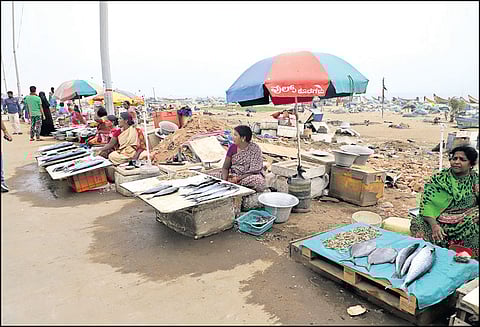 போக்குவரத்துக்கு இடையூறு இல்லாமல் மெரினா லூப் சாலையில் மீண்டும் மீன் வியாபாரம் தொடங்கியது பள்ளத்தை மேடாக்கி மீனவ பெண்களே கடைகள் அமைத்தனர்