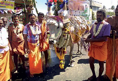 சிவன்மலை சுப்பிரமணியசாமி கோவில் 2-வது நாள் தேரோட்டம்