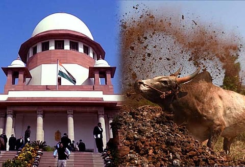 ஜல்லிக்கட்டு தொடர்பான வழக்கு அரசியல் சாசன அமர்வுக்கு மாற்றம்