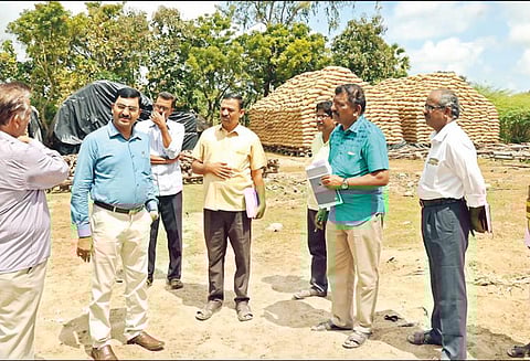 நேரடி நெல் கொள்முதல் நிலையங்களில் கலெக்டர் ஆய்வு